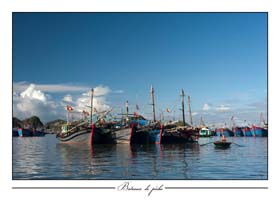 Exposition 15 jours au Viet Nam